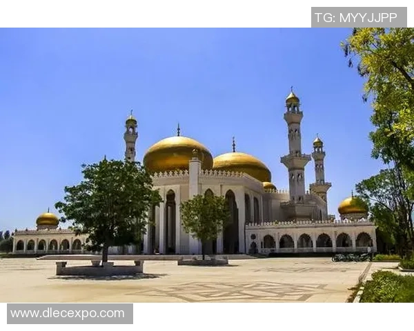 上海排球队在联合会杯中的崛起与突破之路全景回顾 上海排球队在联合会杯中的崛起与突破之路全景回顾