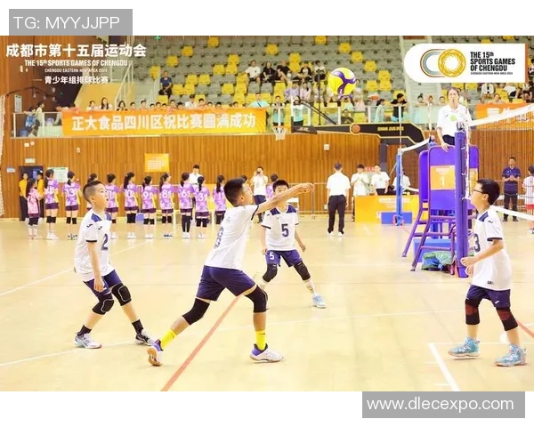 成都排球队比赛经验的创新与变革引发热议 成都排球队比赛经验的创新与变革引发热议