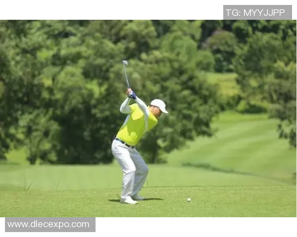 深圳羽毛球队以95分领跑精英赛积分榜展现强劲实力 深圳羽毛球队以95分领跑精英赛积分榜展现强劲实力