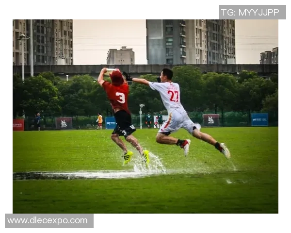 飞盘热议：杭州飞盘队的团队协作争议